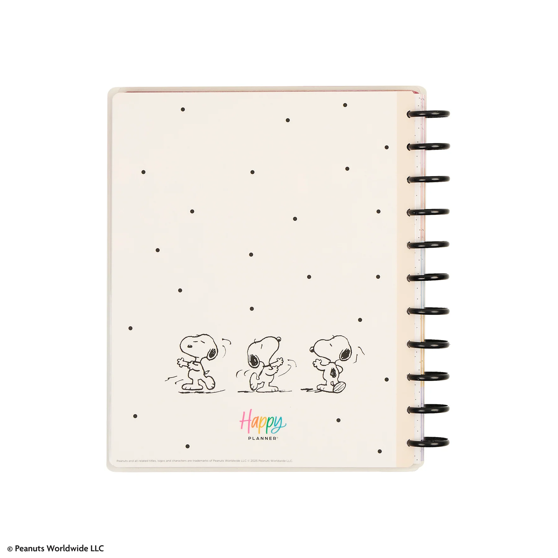2026–2027 PEANUTS™ Customizable Teacher Planner - Big Teacher Layout - 12 Months - Image 25