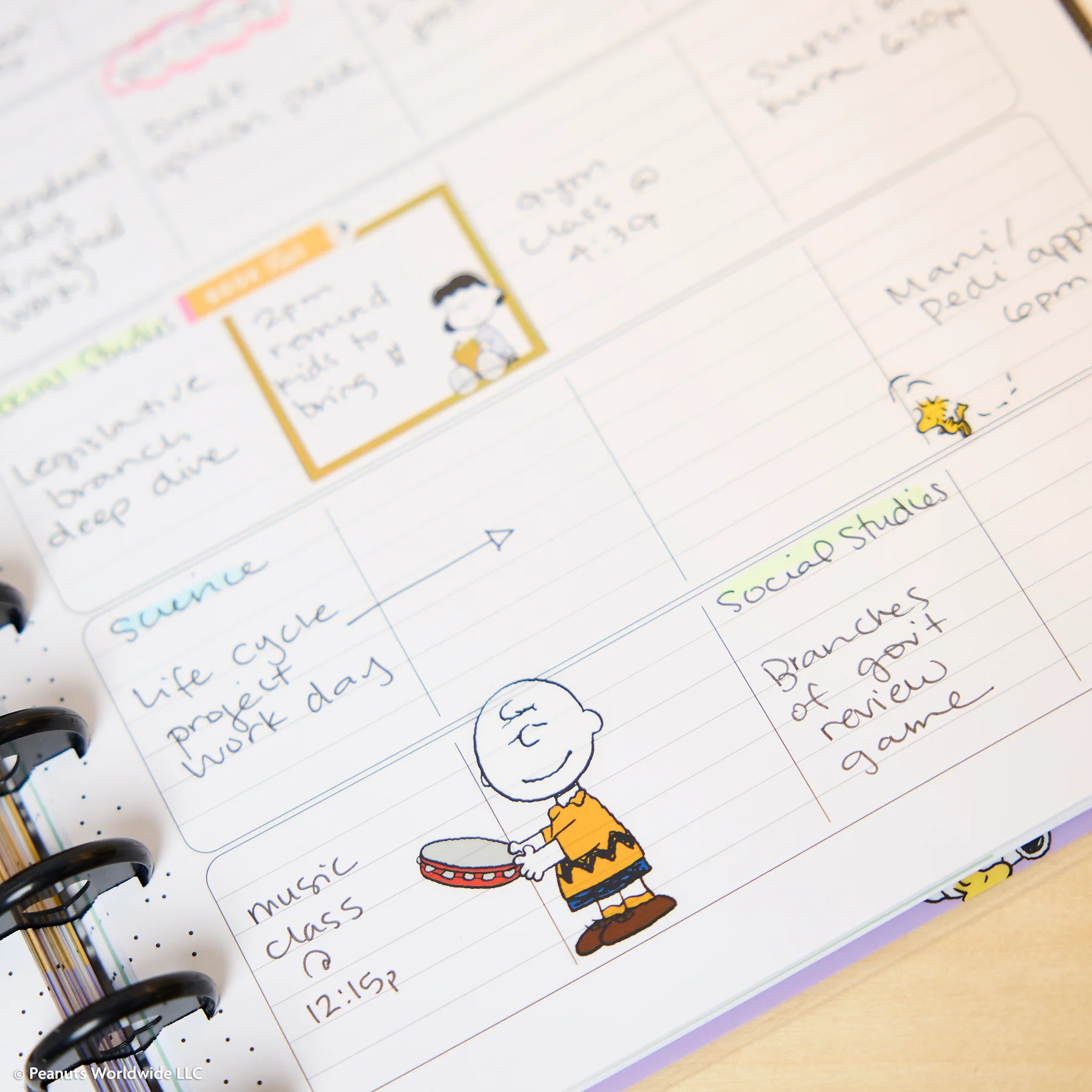 2026–2027 PEANUTS™ Customizable Teacher Planner - Big Teacher Layout - 12 Months - Image 7