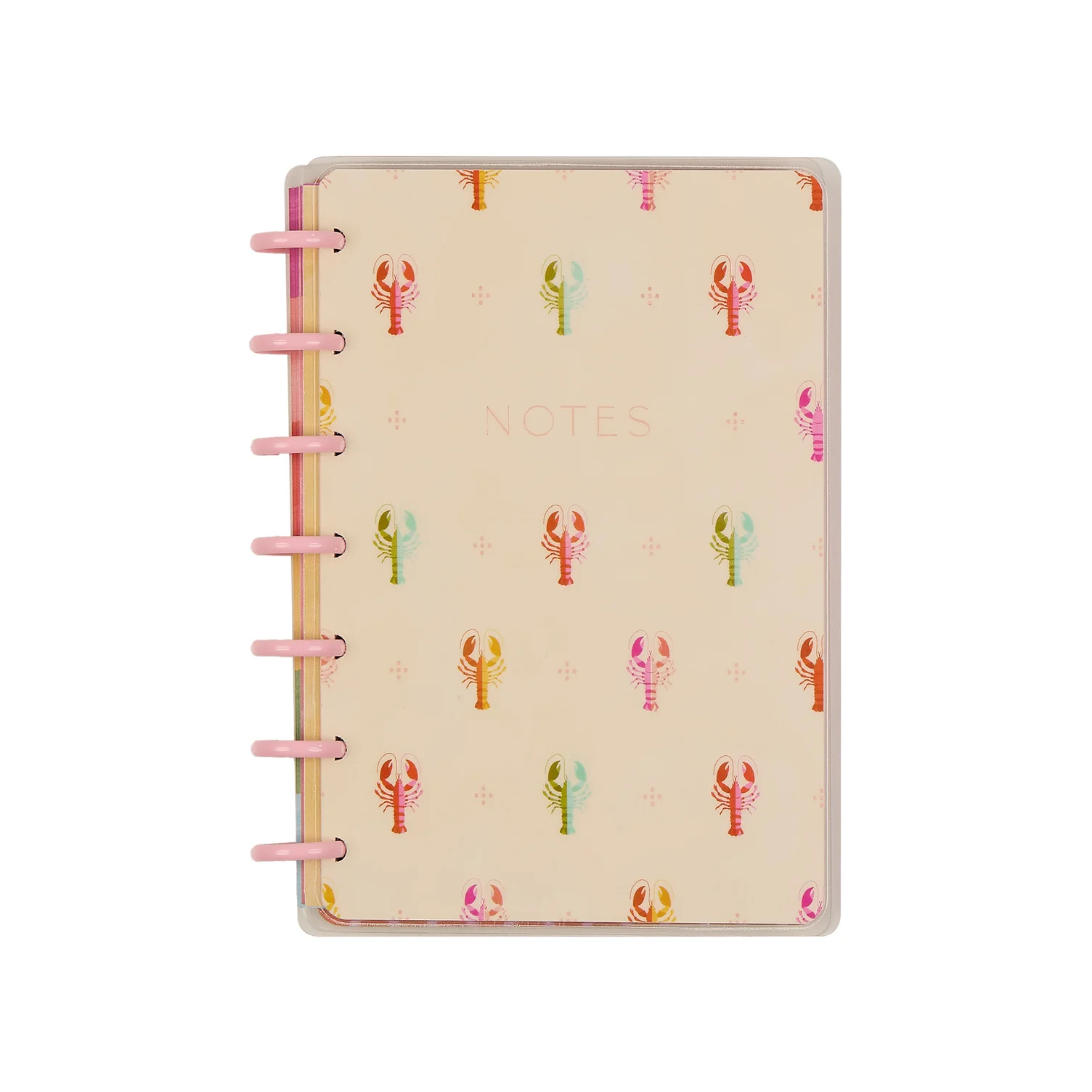 Palm Beach - Dot Grid Mini Notebook - 60 Sheets